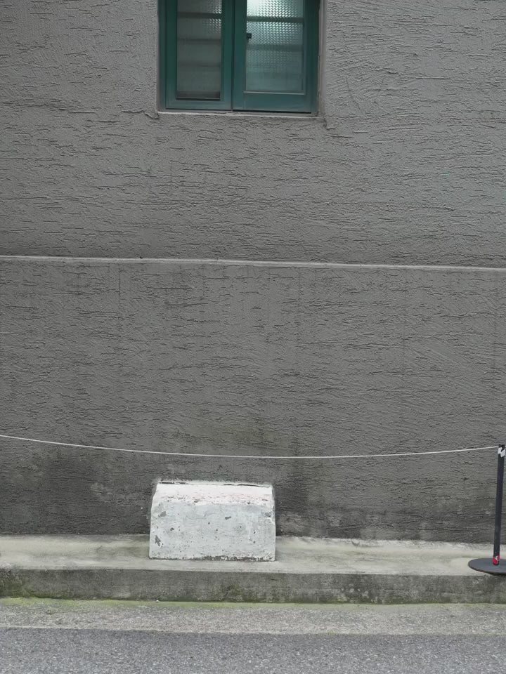 Fireladyfur Women's Shearling Coat - Imported Merino Wool Patchwork Fox Fur Collar Florence