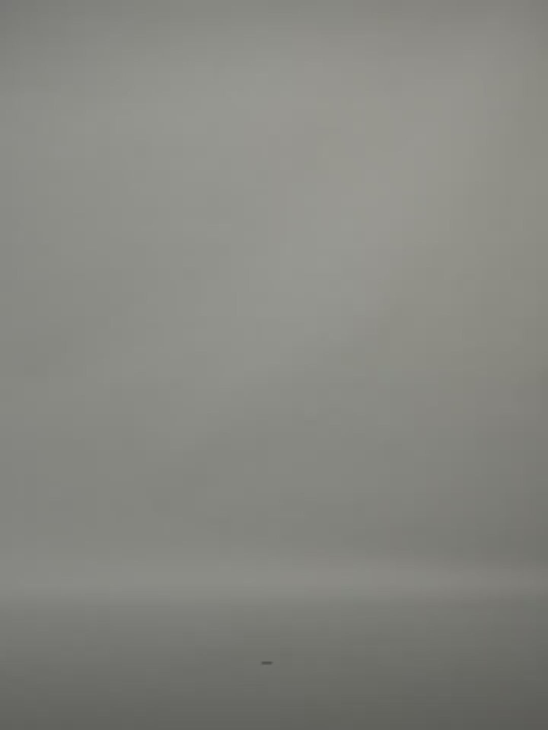 Heavy Cotton Denim Detachable Fur Collar Goose Down Detroit Jacket for Women