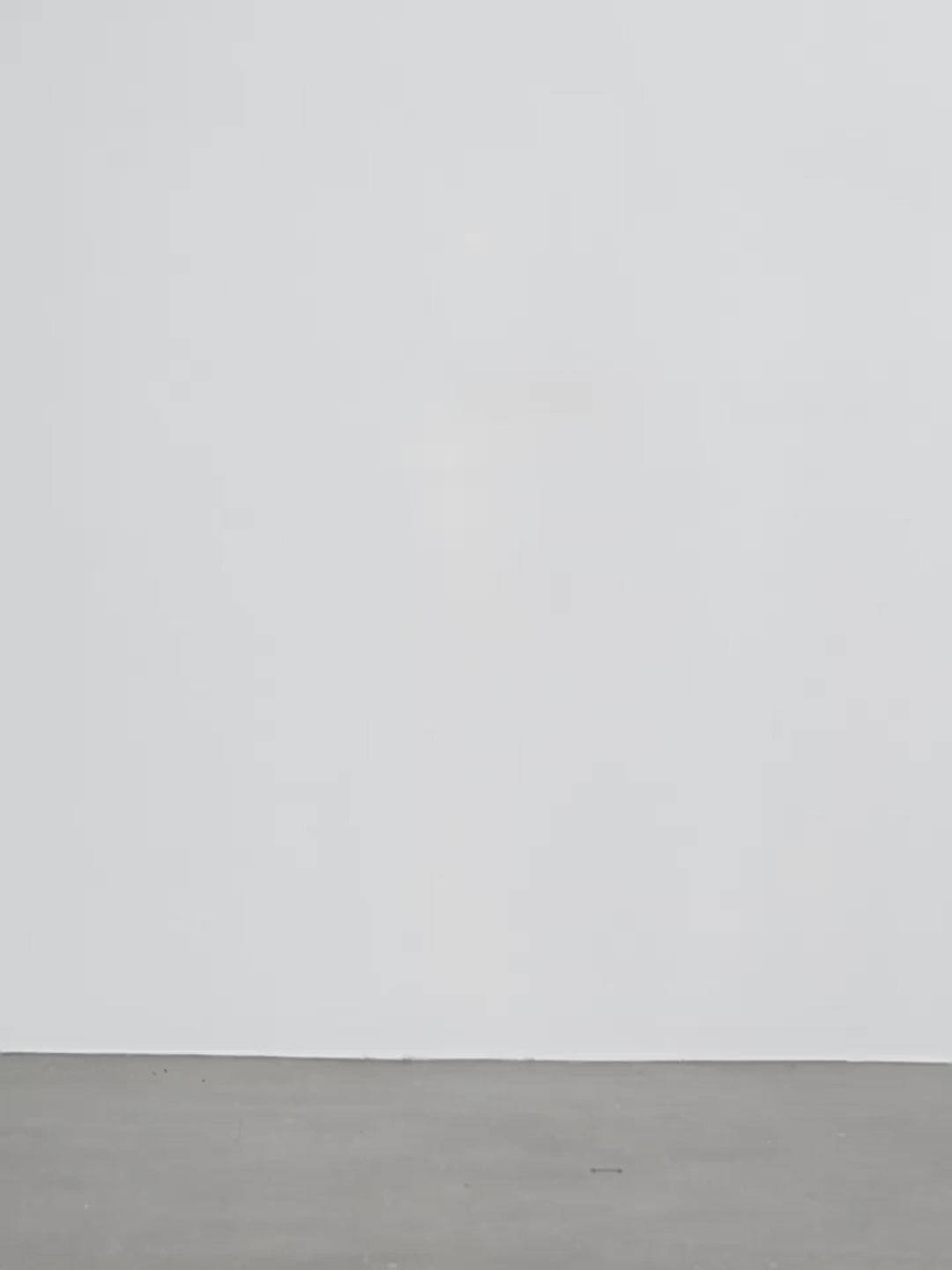 Long Shirt With High-End Drapey Temperament Top for Women