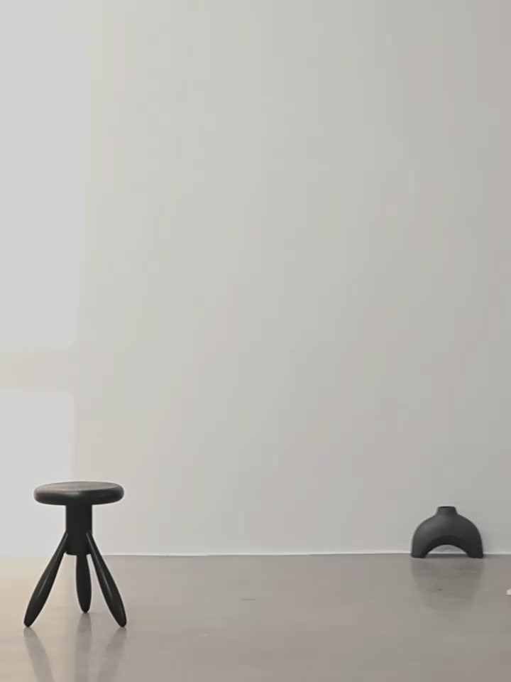 Fireladyfur Women's Black Sheepskin Jacket With Tuscan Fur"My Little Curly"